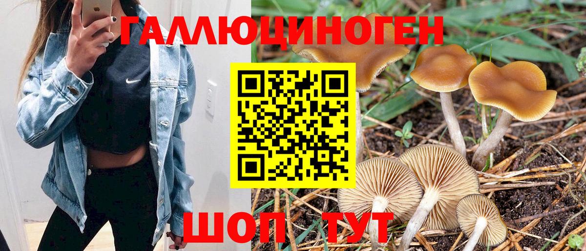 Галлюциногенные грибы Psilocybe  Вход с VPN  Борзя 